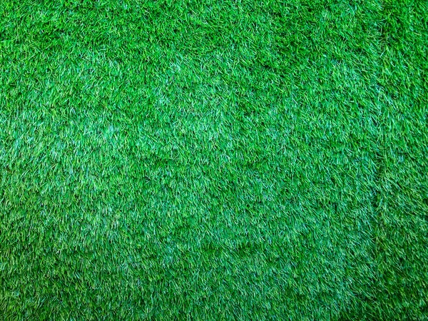 Grass Texture background — Stock Photo, Image