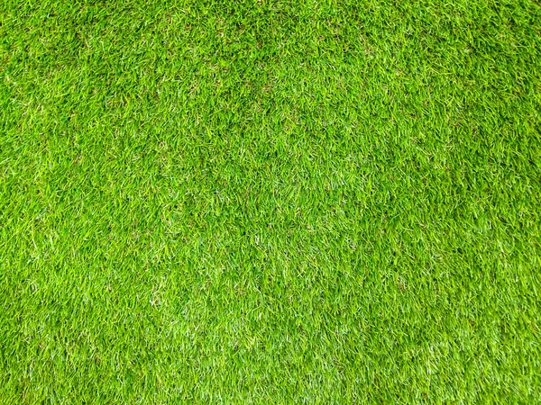Grass Texture background — Stock Photo, Image