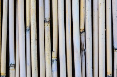 Bambu dokusu arkaplanı