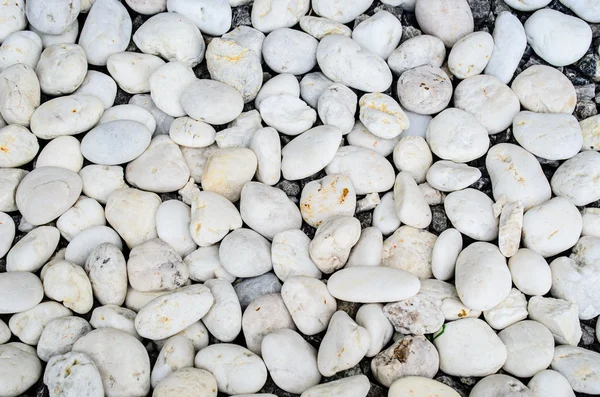 White Stone Background — Stock Photo, Image