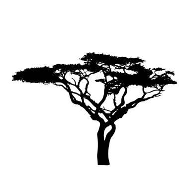 Vektör ağaç silueti. Meşe, kuru odun, Afrika ağacı. Vektör izole arkaplan EPS 10