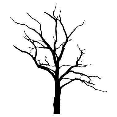 Vektör ağaç silueti. Meşe, kuru odun, Afrika ağacı. Vektör izole arkaplan EPS 10