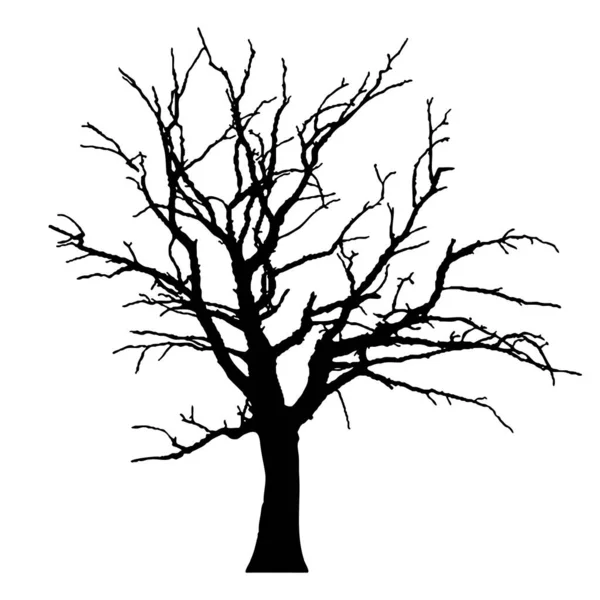 ベクトルツリーシルエット オーク 乾いた木 アフリカの木 ベクトル絶縁型背景Eps — ストックベクタ