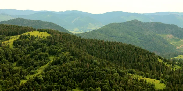 Carpathian mountains