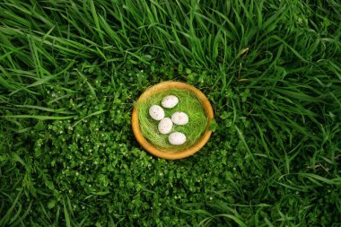 Beyaz çikolata yumurtaları ahşap bir kasede taze yeşil çimenler üzerinde eğlenceli bir macera için