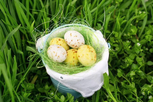 Witte Chocolade Eieren Een Houten Kom Vers Groen Gras Voor — Stockfoto