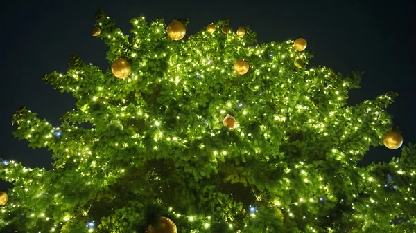Street Christmas tree is decorated with a garland with Christmas carols near the supermarket or in the square for parties