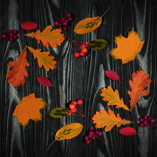 木の茶色の背景にオークやカエデの葉や赤い果実と秋の組成物 — ストック写真