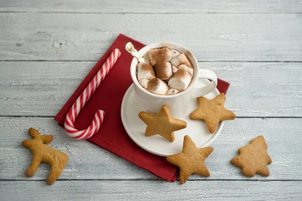 Gingerbread Cookies Sweet Caramel Friend Child Evening Christmas Cup Hot — Stock Photo, Image