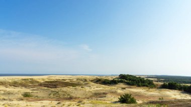 Curonian Spit 'te kum tepeciği, yazın güneşli bir günde, Baltık Denizi, Kaliningrad bölgesi, Rusya.