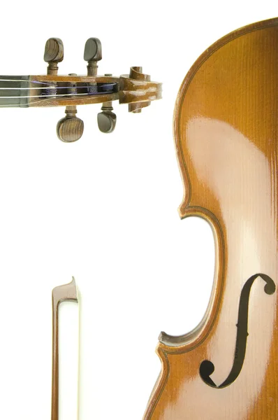 Violin body — Stock Photo, Image