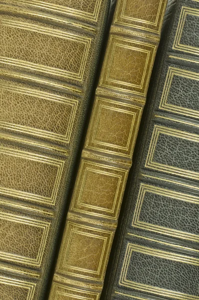 Alte Bücher — Stockfoto