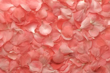pembe yaprakları doku