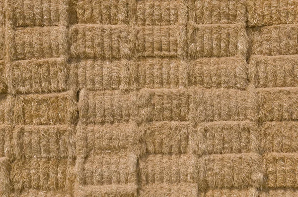 Straw texture — Stock Photo, Image