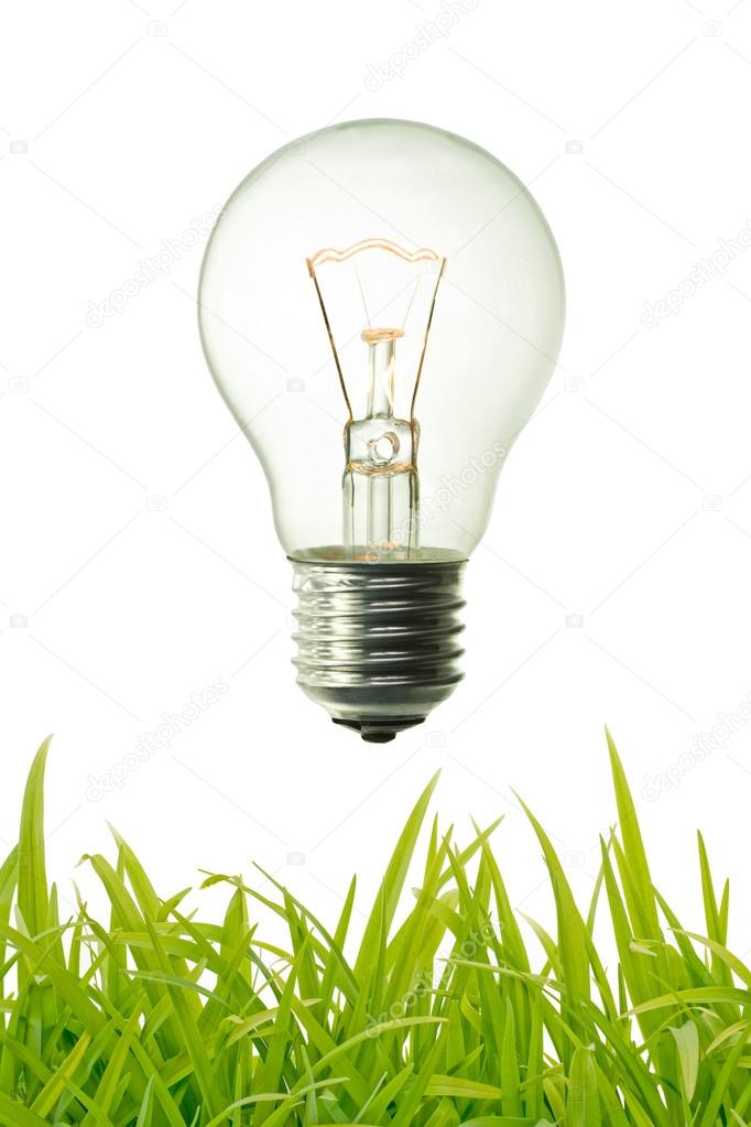 Incandescent bulb and green grass