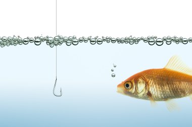 bir kanca izlerken goldfish