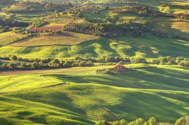 Vintage toskana manzara, Toskana İtalya