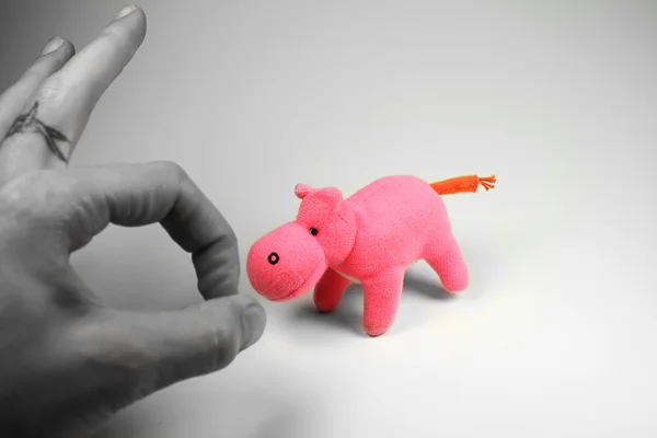 Pink hippo — Stock Photo, Image