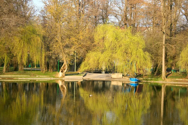 In the park — Stock Photo, Image