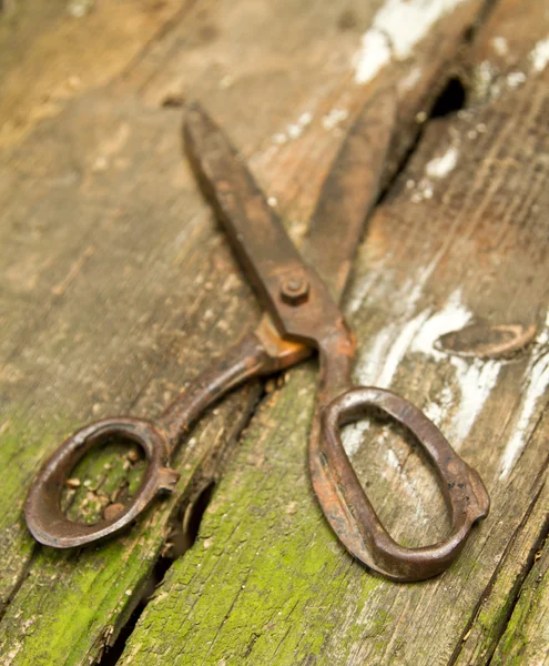 Old scissors — Stock Photo, Image