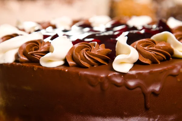 Bolo de chocolate — Fotografia de Stock