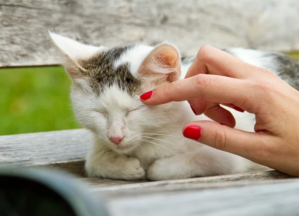 Sleeping — Stock Photo, Image