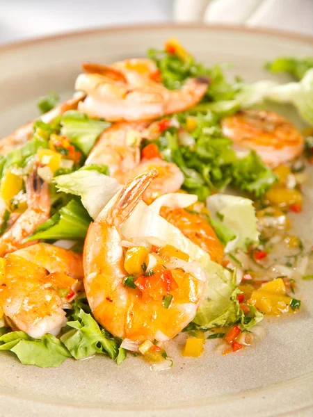 Salada de camarão — Fotografia de Stock