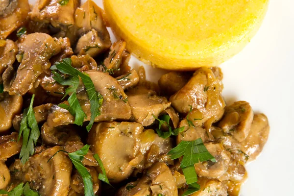 Mushroom stew — Stock Photo, Image