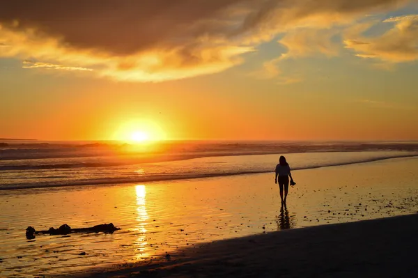 Dramatic Beautiful Setting Sun Sunset Beach South Africa — Stock Photo, Image