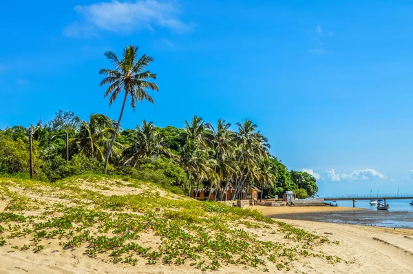 モザンビークのポルトガル島に近いインハカ島またはインヤカ島 ロイヤリティフリーのストック写真