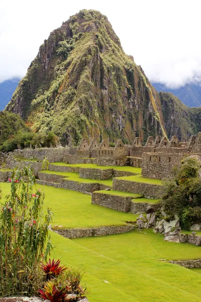 The famous ancient ruins of Machu Picchu in Peru Stock Image