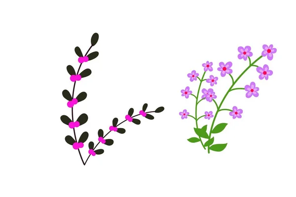 Bunga Musim Semi Diisolasi Pada Latar Belakang Putih Desain Ilustrasi — Stok Foto