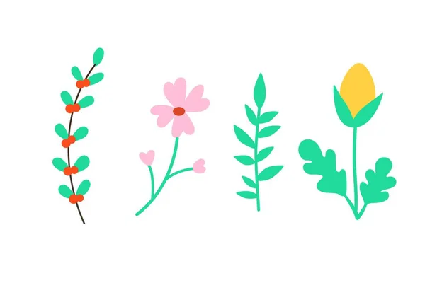 Vackra Blommor Isolerade Vit Bakgrund Illustration Design — Stockfoto