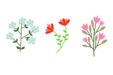 Beyaz arka planda izole edilmiş güzel çiçekler - illüstrasyon tasarımı