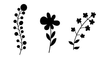 Çiçekli ağaç dallarının silueti, beyaz arka planda siyah renk izolasyonu.