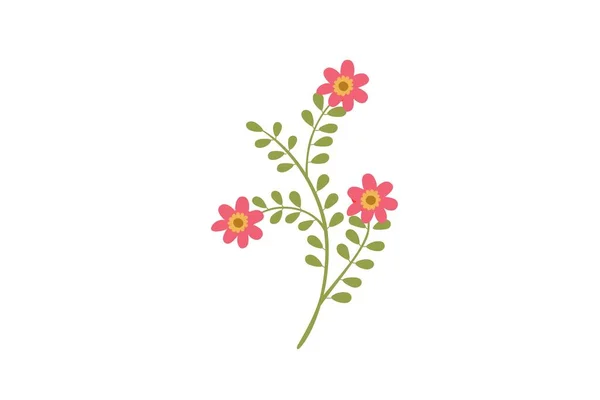 Schöne Blumen Isoliert Auf Weißem Hintergrund Illustrationsdesign — Stockfoto