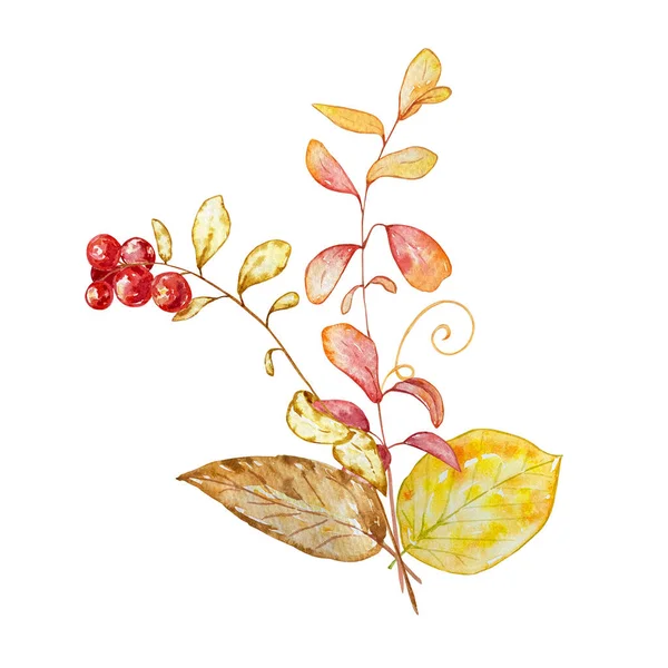 Watercolor Bouquet Botanical Illustration Autumn Composition Bright Autumn Leaves Berries — Stock Photo, Image