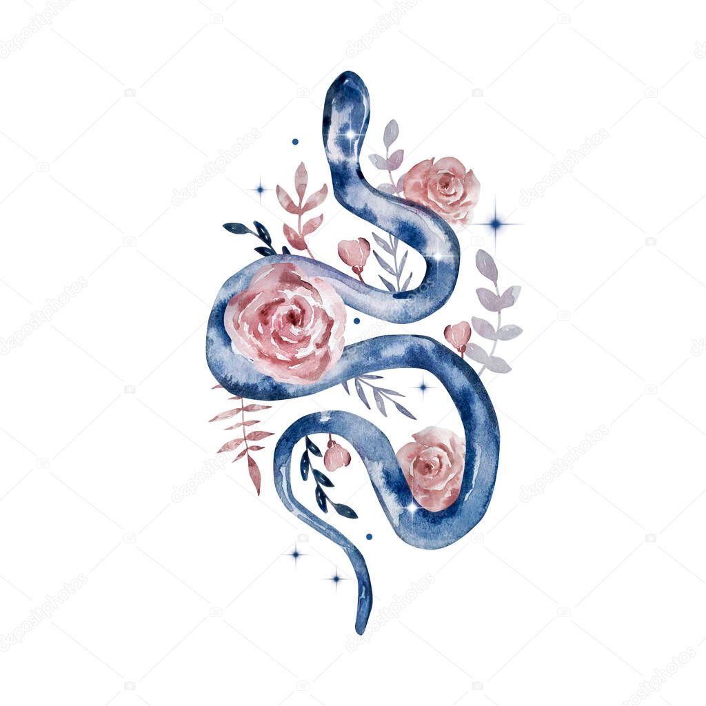 Watercolor illustration. Magic selestial abstract composition. A snake with flowers and stars. Composition isolated on white background