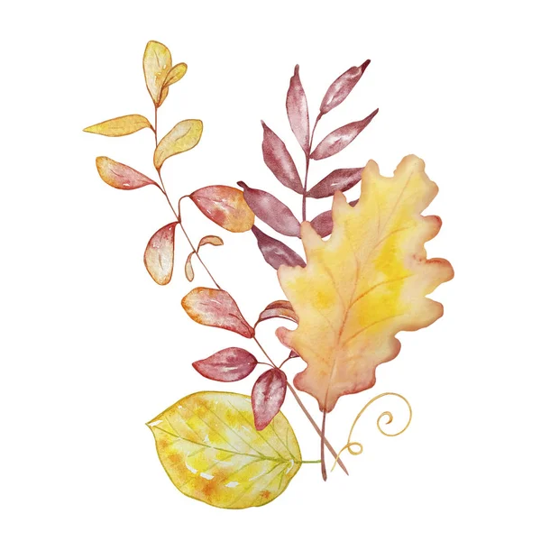Akwarelowy Bukiet Ilustracja Botaniczna Jesienny Skład Jasnych Jesiennych Liści Białym — Zdjęcie stockowe