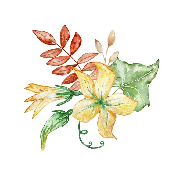 Suluboya Buketi Botanik Illüstrasyon Sonbahar Kompozisyonu Çiçeklerden Sonbahar Yapraklarından Beyaz — Stok fotoğraf