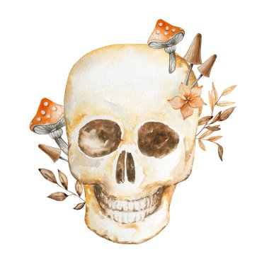 Cadılar Bayramı suluboya çizimi. Beyaz arka planda izole edilmiş el yapımı şenlik kompozisyonu. Kafatasında sineklik ve mantarlar var.