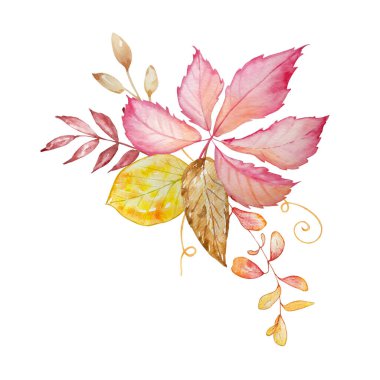 Suluboya buketi, botanik illüstrasyon, sonbahar kompozisyonu, parlak sonbahar yaprakları beyaz bir arka grubunda