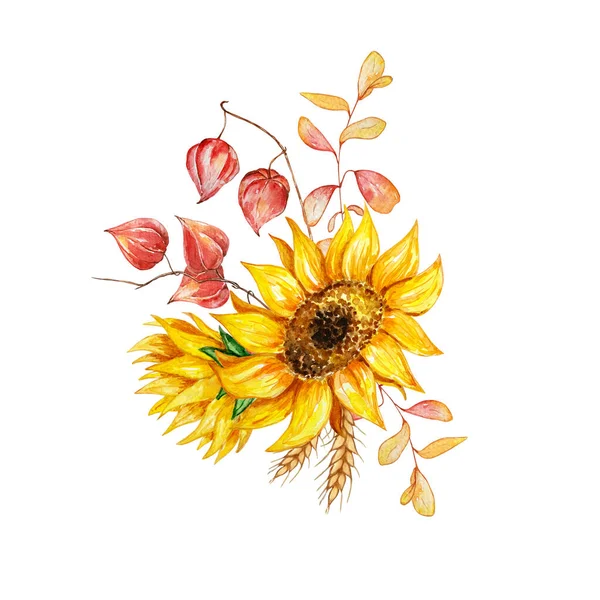 Watercolor bouquet, botanical illustration, autumn composition, from flowers, sunflowers, autumn leaves and berries on a white backgroun