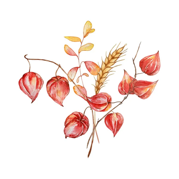 Akvarellcsokor Botanikai Illusztráció Őszi Kompozíció Virágokból Őszi Levelekből Fehér Hátoldalon — Stock Fotó