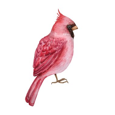 Beyaz arka planda izole edilmiş kışın suluboya Noel çizimi