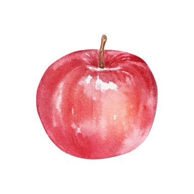 Kırmızı elmanın suluboya Noel çizimi, beyaz arkaplanda izole edilmiş pasta.