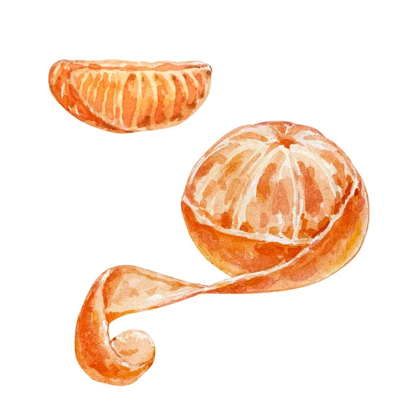 Watercolor Christmas Illustration Fruits Tangerine Tangerine Slice Isolated White Background — Stock Photo, Image