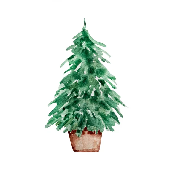 Akvarel Zimní Ilustrace Vánoční Strom Hrnci Bílém Pozadí — Stock fotografie