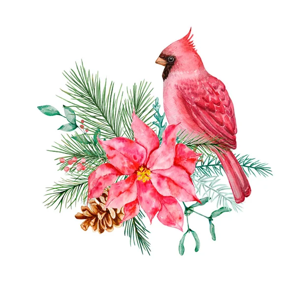 Akvarell Jul Sammansättning Kardinal Fågel Med Julstjärna Bukett Och Vinter — Stockfoto