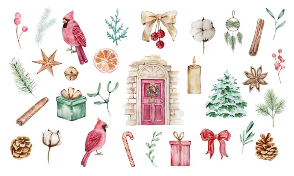 Ακουαρέλα Κομψό Χριστούγεννα Εικονογράφηση Μεγάλο Χειμώνα Που Καρδινάλιος Πουλιά Πόρτα — Φωτογραφία Αρχείου